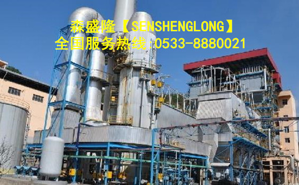 大型鍋爐除垢劑高效清洗除垢